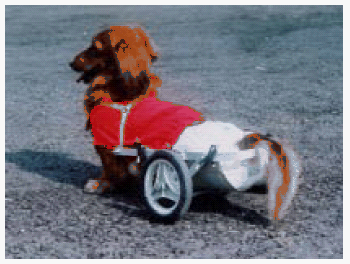 ��������̐V�^�Ԉ֎q�̏Љ�